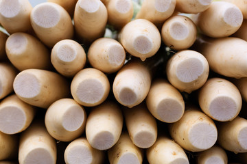fresh white radish pile on the market closeup view background