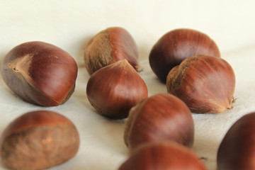 秋の味覚　柿と栗