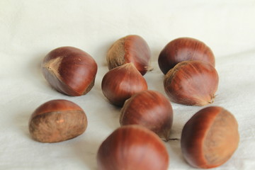 秋の味覚　柿と栗