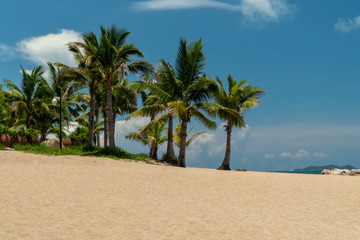 Obraz premium Tropical coast view with beach, stones and palm trees