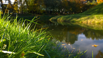 landscape, grass along the lake in autumn park