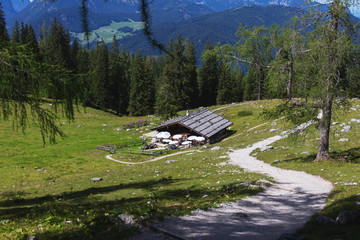 Fototapete bei efototapeten.de bestellen   