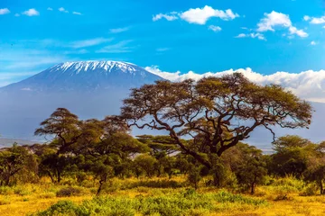 Photo sur Plexiglas Kilimandjaro Le pic enneigé du Kilimandjaro