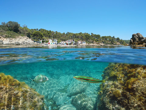 Rocky coastline with fishermen houses and fish underwater, Mediterranean sea, Spain, Catalonia, Costa Brava, Palamos, split view over and under water surface