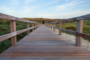 Fototapeta premium Wooden footbridge on a beach in Belgium