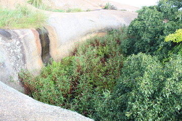 Beautiful Oasis in the middle of a stony arid  place