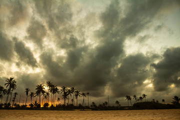 Storm clouds over beach trees. Storm on vacation days on the coast.
