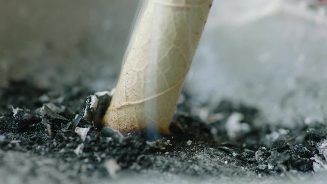Macro of Stewing of goby cigarette stub, close up, prores4444, RAW, Arri Alexa mini, 50fps