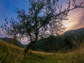 Landscape with Carpathian mountains during the sunset with amazing sunlight