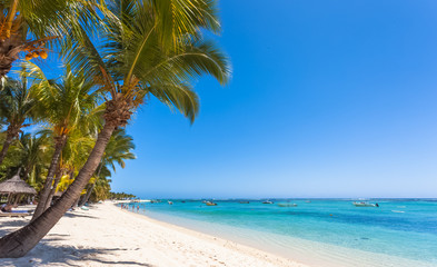Naklejka na ściany i meble tropical beach with palm trees, Morne Brabant, Mauritius 
