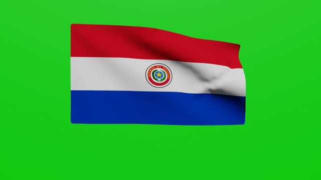Bandera Paraguay. Vídeo
