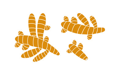 Turmeric logo. Isolated turmeric on white background