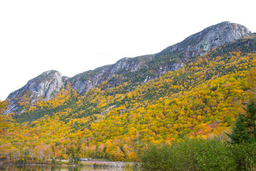 Naklejka premium Colorful Autumn Foliage of White Mountains in New England