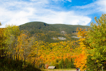 Obraz premium Colorful Autumn Foliage of White Mountains in New England