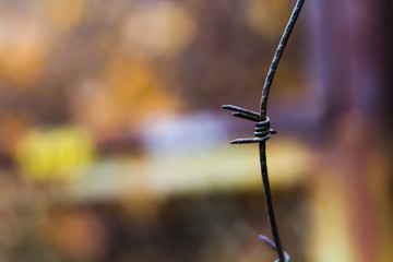 Rusty iron barbed wire spike close-up with blurred grating on background, barbed wire element macro...