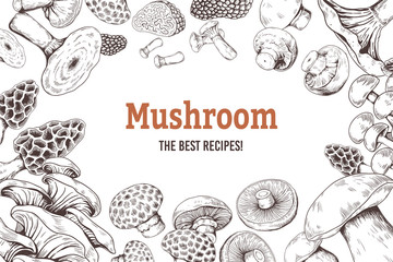 Mushroom sketch background. Organic food sketch with shiitake champignon truffle and oyster mushrooms. Vector hands drawings doodle set illustration for vegetarian recipe book