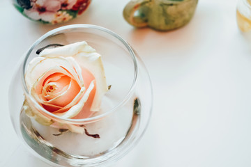 pink rose in a glass round vase