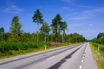 Fototapeta na wymiar Asphalt road on the background of blue sky with clouds. Typical landscape of Estonia