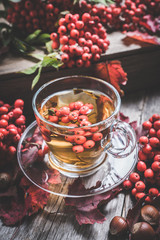 Hot tea in glass cup with rowan and atmospheric autumn decorations. Selective focus. Shallow depth of field.