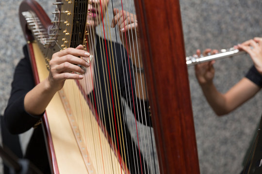 harp player female musician, hand detail