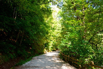 Road to the winter and spa station Poiana Brasov, in Carpathian Mountains