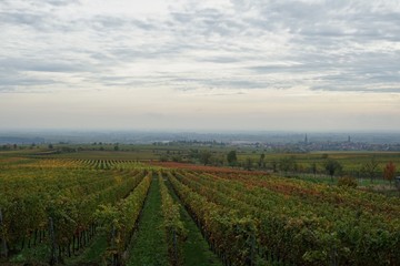 Panoramablick vom Hügel der Kropsburg in der Pfalz