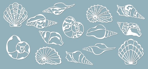 Shells of the sea. Laser cutting. Craft paper for decoration. Plotter, screen printing.