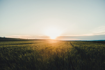 sunrise over the field, Moldova