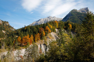 Großer Ahornboden im Herbst, Karwendel Gebirge, Eng, Tirol, Österreich, Europa 