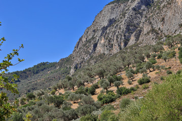 Fototapeta na wymiar Cave of Pythagoras in the hills above Marathokambos on the Greek island of Samos.