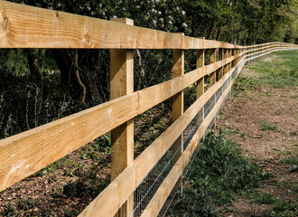 Newly installed timber fencing seen at the perimeter to a large grazing field, at the edge of a...