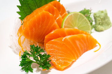 premium salmon sashimi slice on a White Plate,japanese food