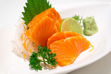 premium salmon sashimi slice on a White Plate,japanese food