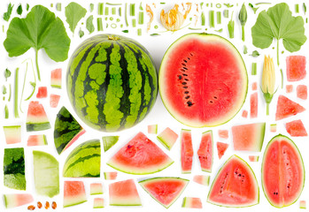 Watermelon Collection Abstract