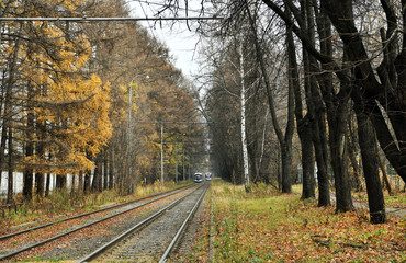 tram in the autumn forest