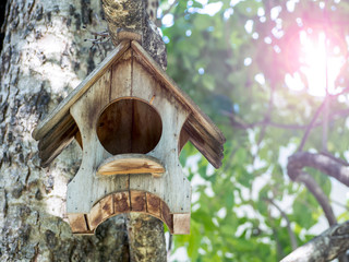 The tiny bird house on maple tree to protection birds and keep warm.