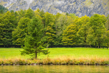 Fototapeta premium Bayrische Alpen
