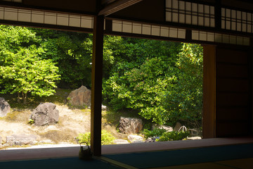 Fototapeta premium 京都_圓徳院_青もみじ