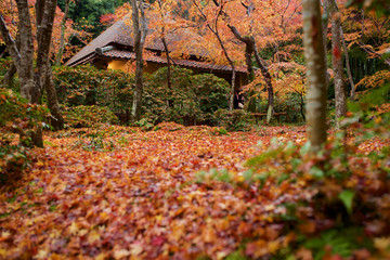 京都_祇王寺_紅葉