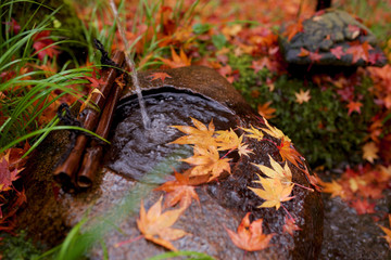 京都_祇王寺_紅葉
