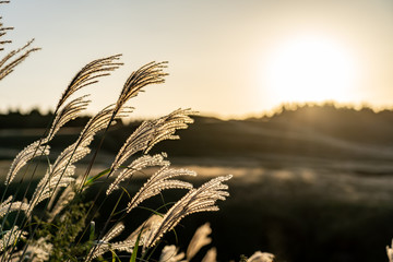 sunset in the mountains, Kusasenri, Aso, Kumamoto