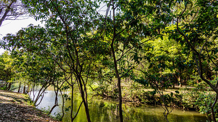 PARQUE DO IBIRAPUERA - SÃO PAULO