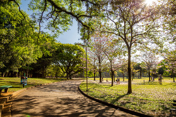 PARQUE DO IBIRAPUERA - SÃO PAULO