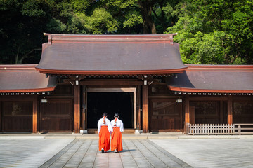 Scenic view at Meji Jingu or Meji Shrine area in Tokyo, Japan.