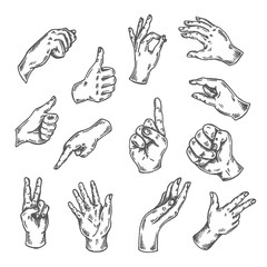 Hand gesture sketch. Vector illustration isolated on white Arm sketched. Thumb up, victory, peace doodle line set Drawing of hands