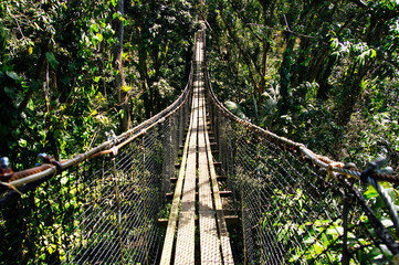 Suspended bridges at top of the trees in Parc Des Mamelles, Guadeloupe Zoo in the middle of the rainforest on Chemin de la Retraite, Bouillante. French Caribbean.