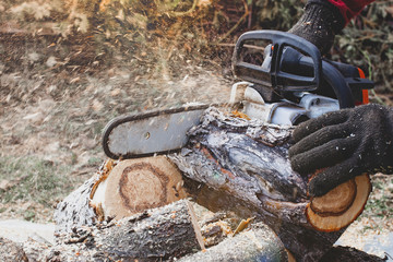 Professional chainsaw cuts firewoods