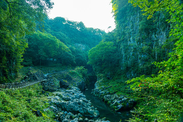 Fototapeta na wymiar waterfall in forest, Takachiho, Miyazaki