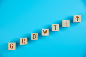 growth text on wood cube and light blue background