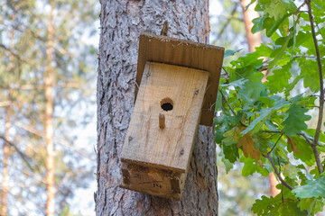 New wooden birdhouse on a tree for forest birds in the forest